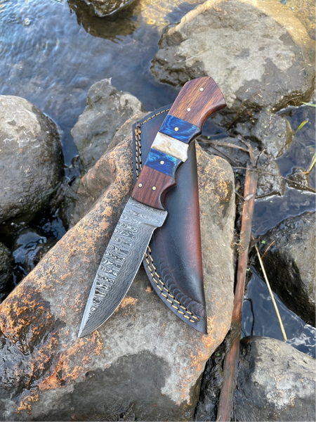 Black Walnut and Stag Hunting Knife
