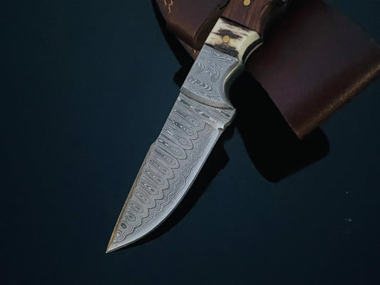 Walnut and Stag Hunting Knife